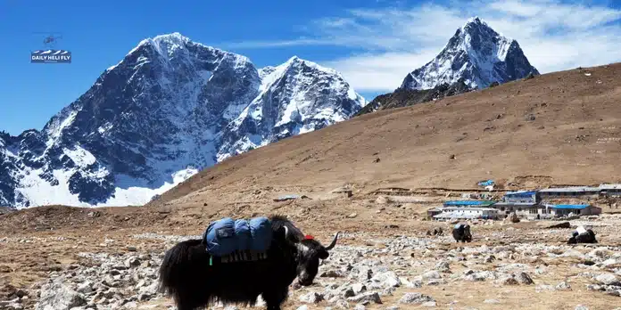 Langtang Valley Trek