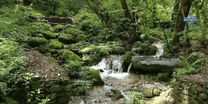 Shivapuri National Park Nature and Adventure