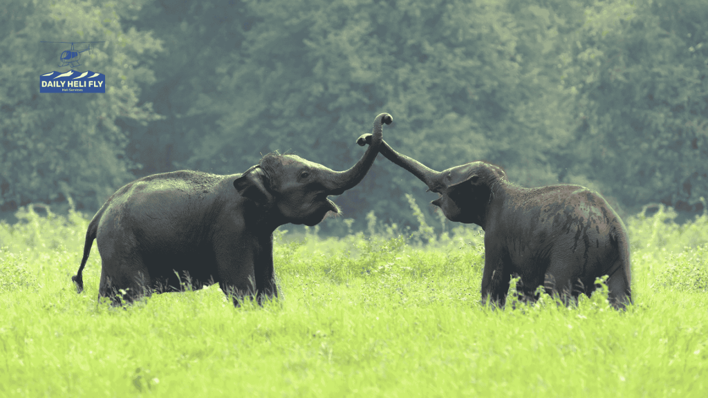 Why Nepal Is the World’s Best Destination for Wildlife & Culture Tours